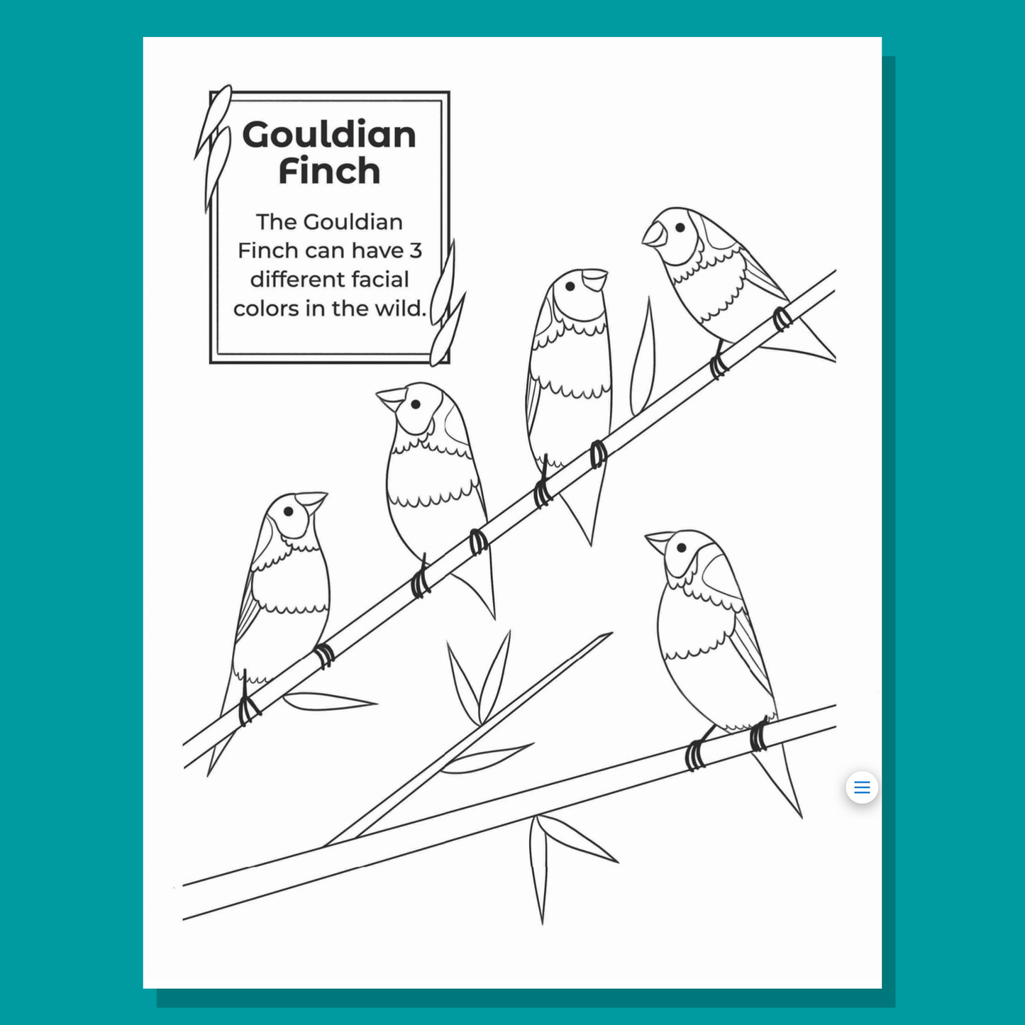 Melusine & Birding Pals: Coloring & Activity Book