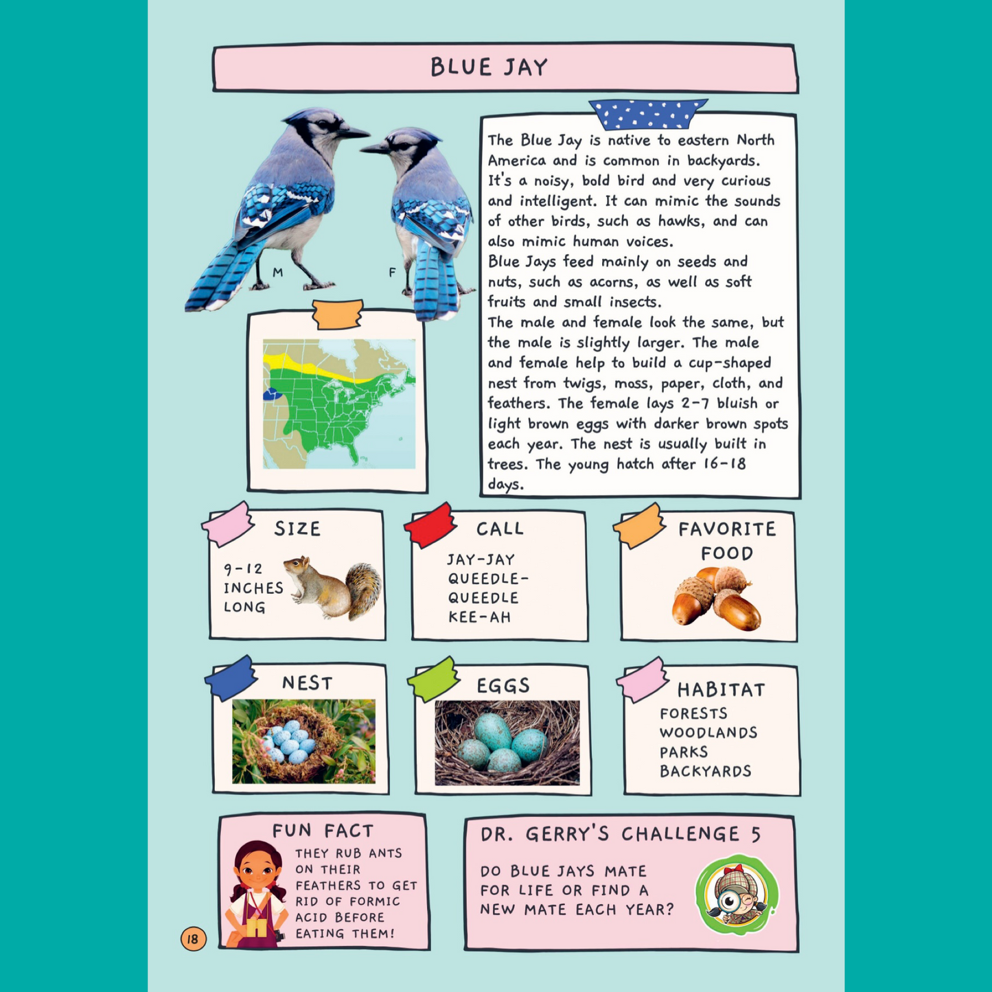 Melusine Presents Backyard Birds of North America - Signed Edition